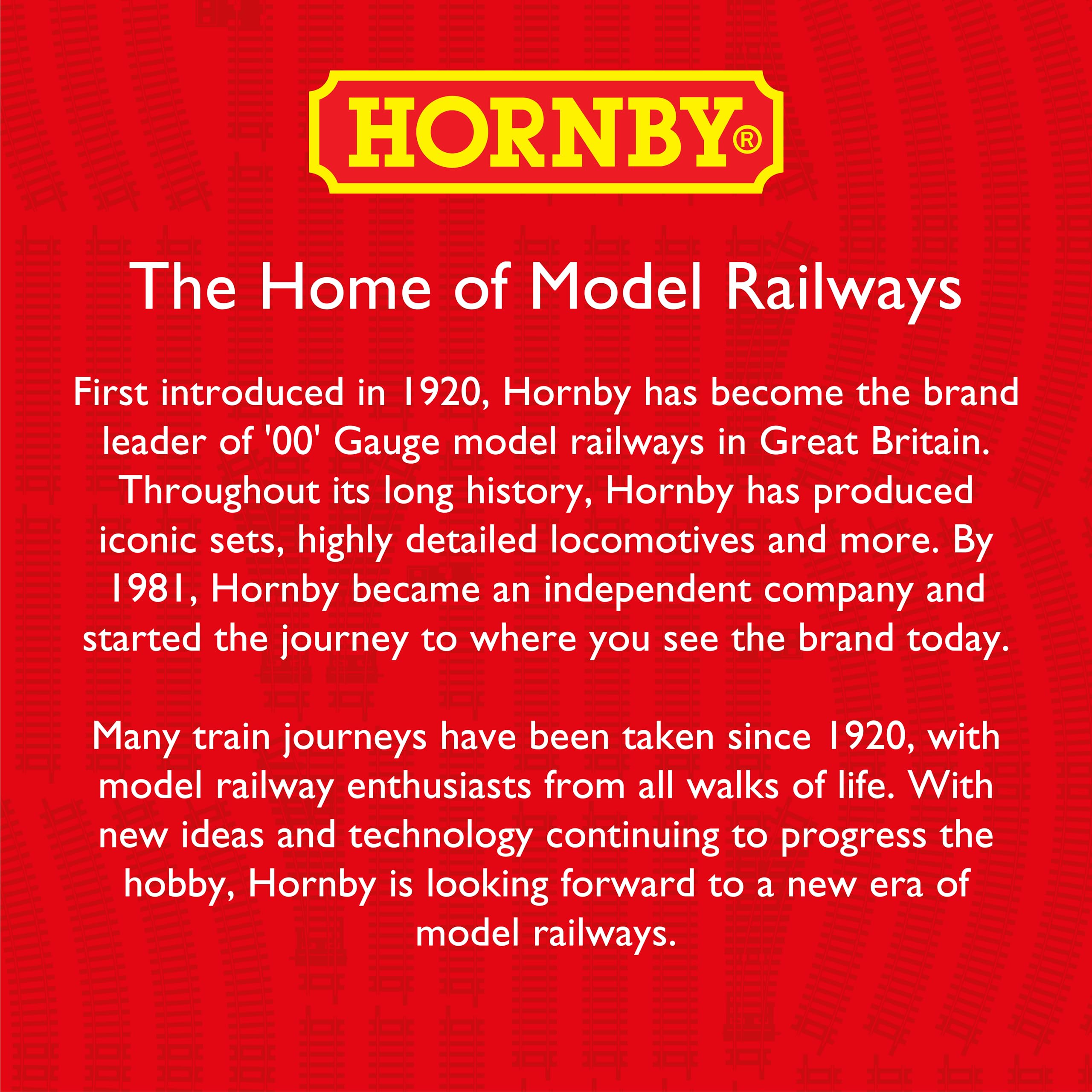 Hornby R8225 OO Gauge Track Extension Pack E - 7-Piece Model Railway Track Set with Straight, Curve, and Point Tracks 3
