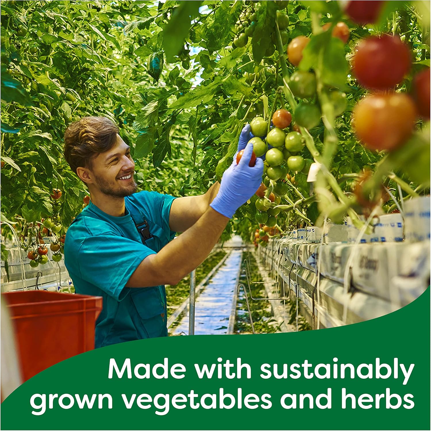 Knorr Chicken Stock Cubes Gluten Free - 20 x 10g 5