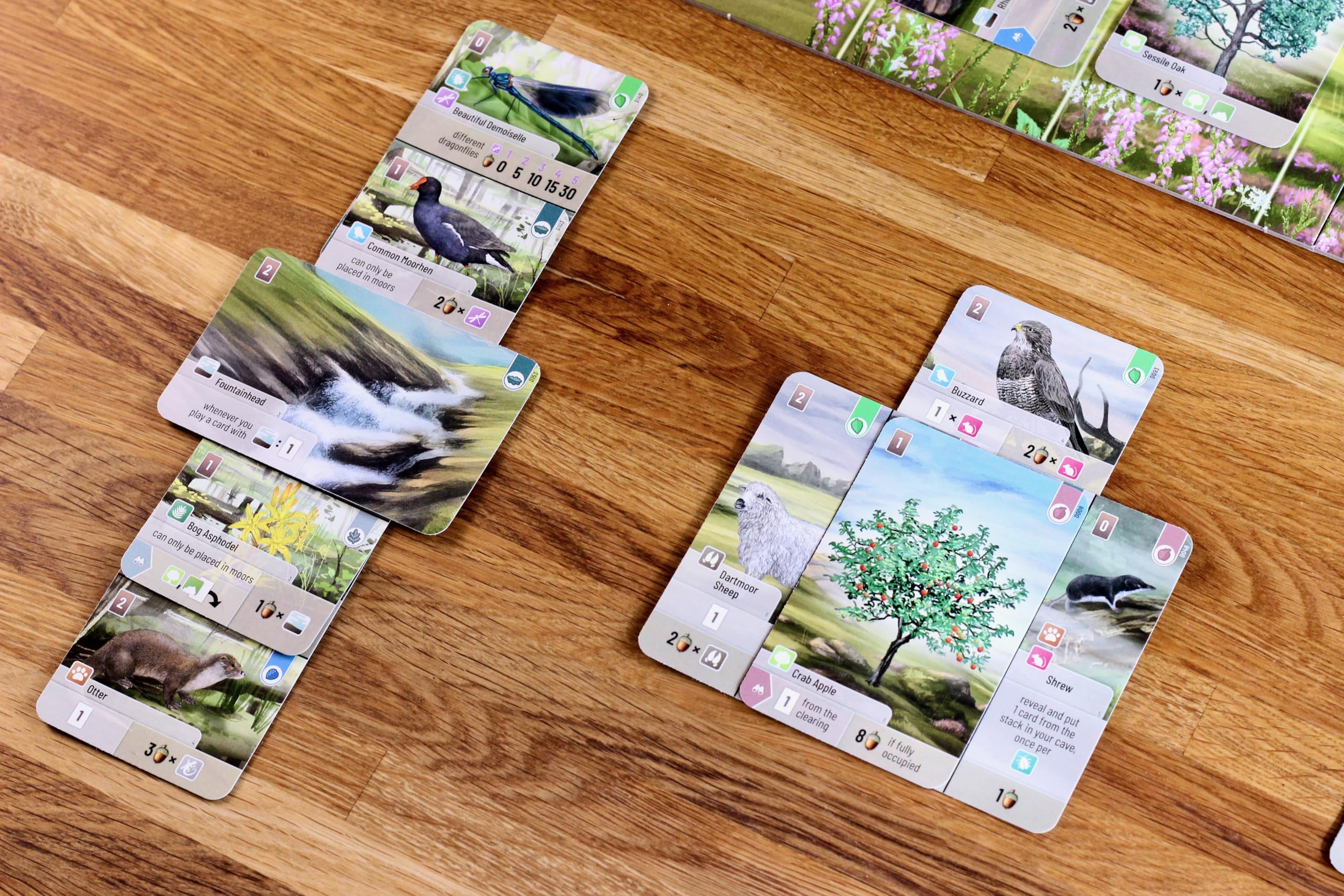 Asmodee Forest Shuffle: Dartmoor Family Card Game | Ages 10+ | 2-4 Players 5