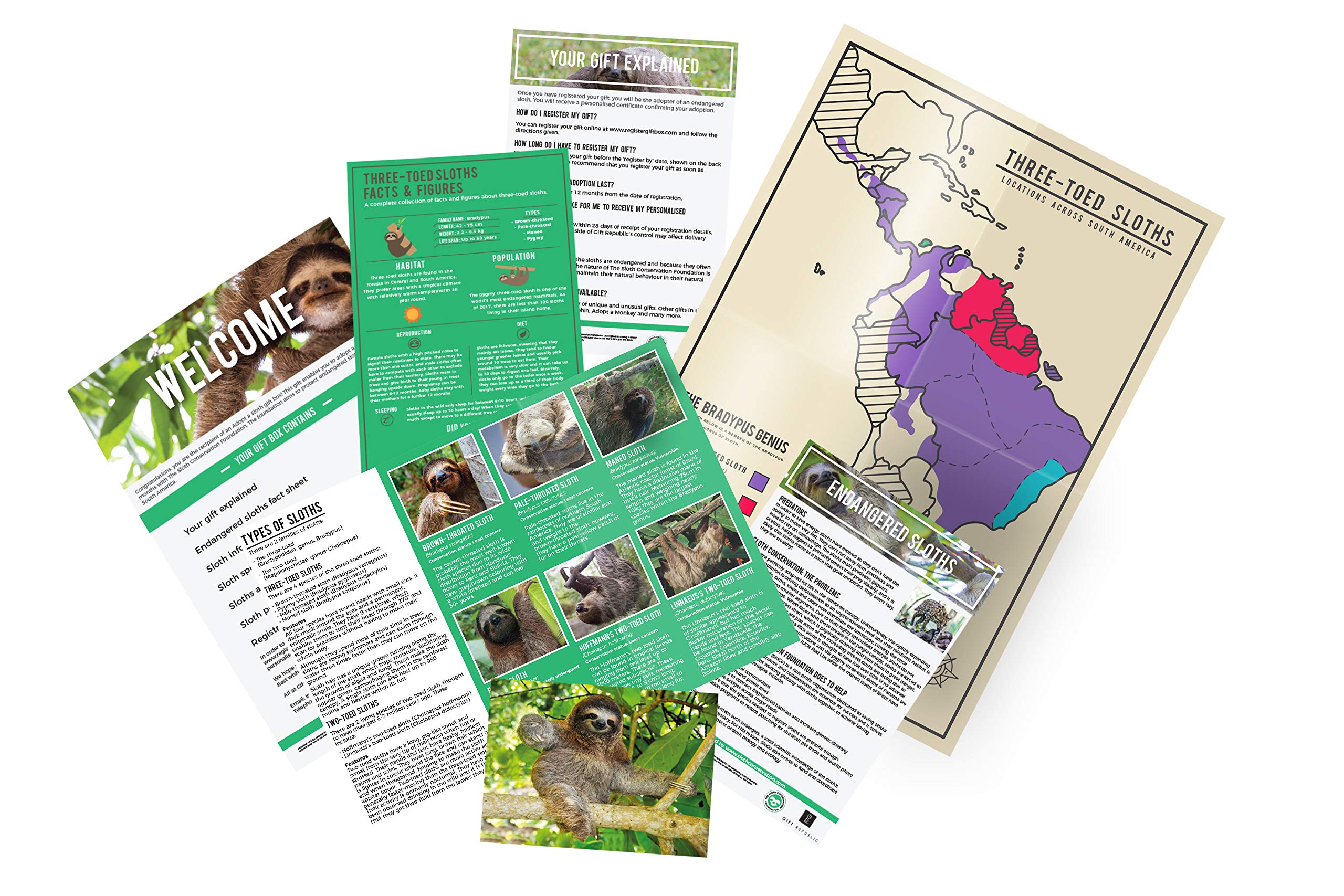 Gift Republic Adopt a Sloth Gift Box | 12-Month Adoption | Includes Poster & Certificate 3