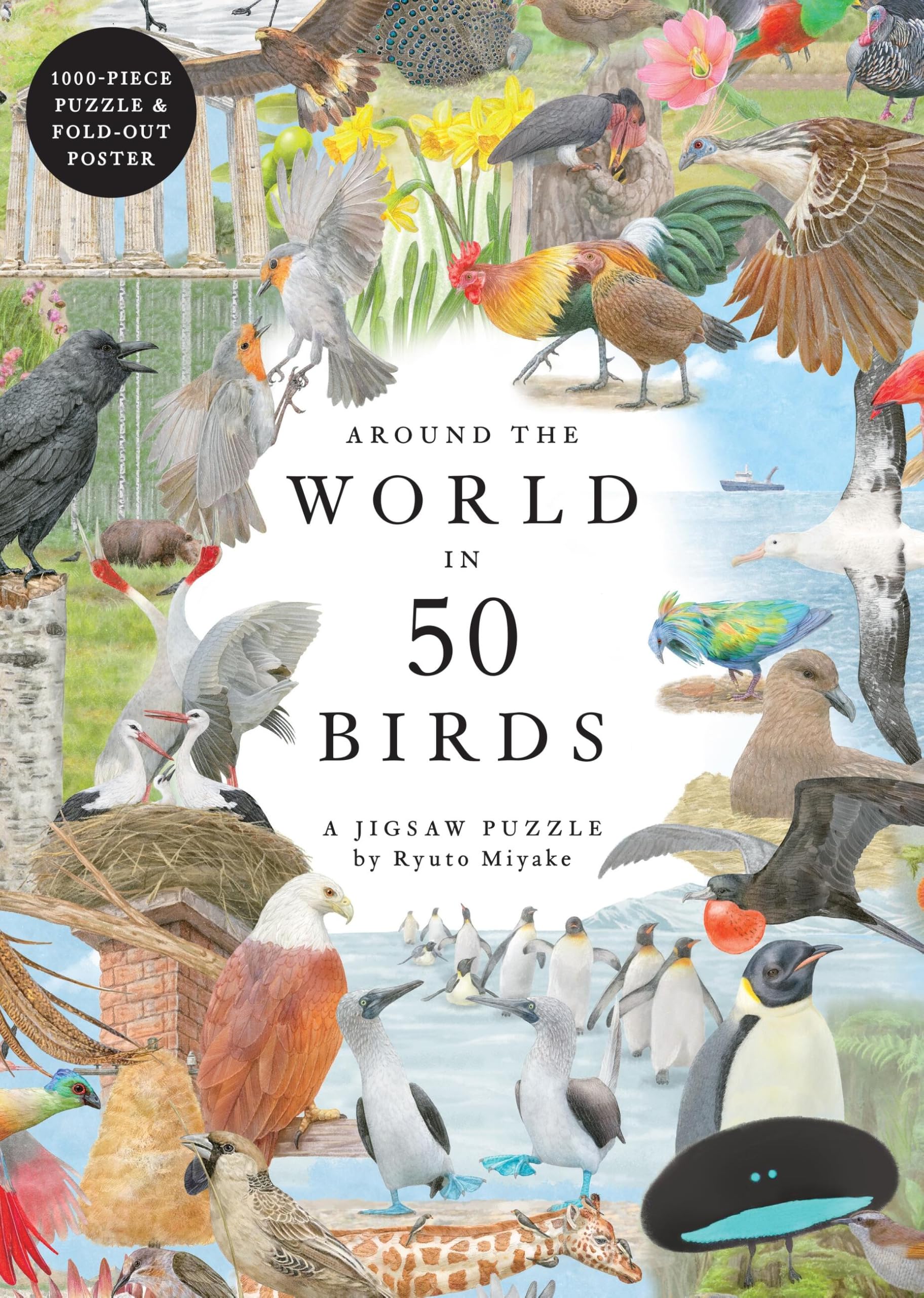 Around the World in 50 Birds: 1000-Piece Jigsaw Puzzle by Laurence King Publishing