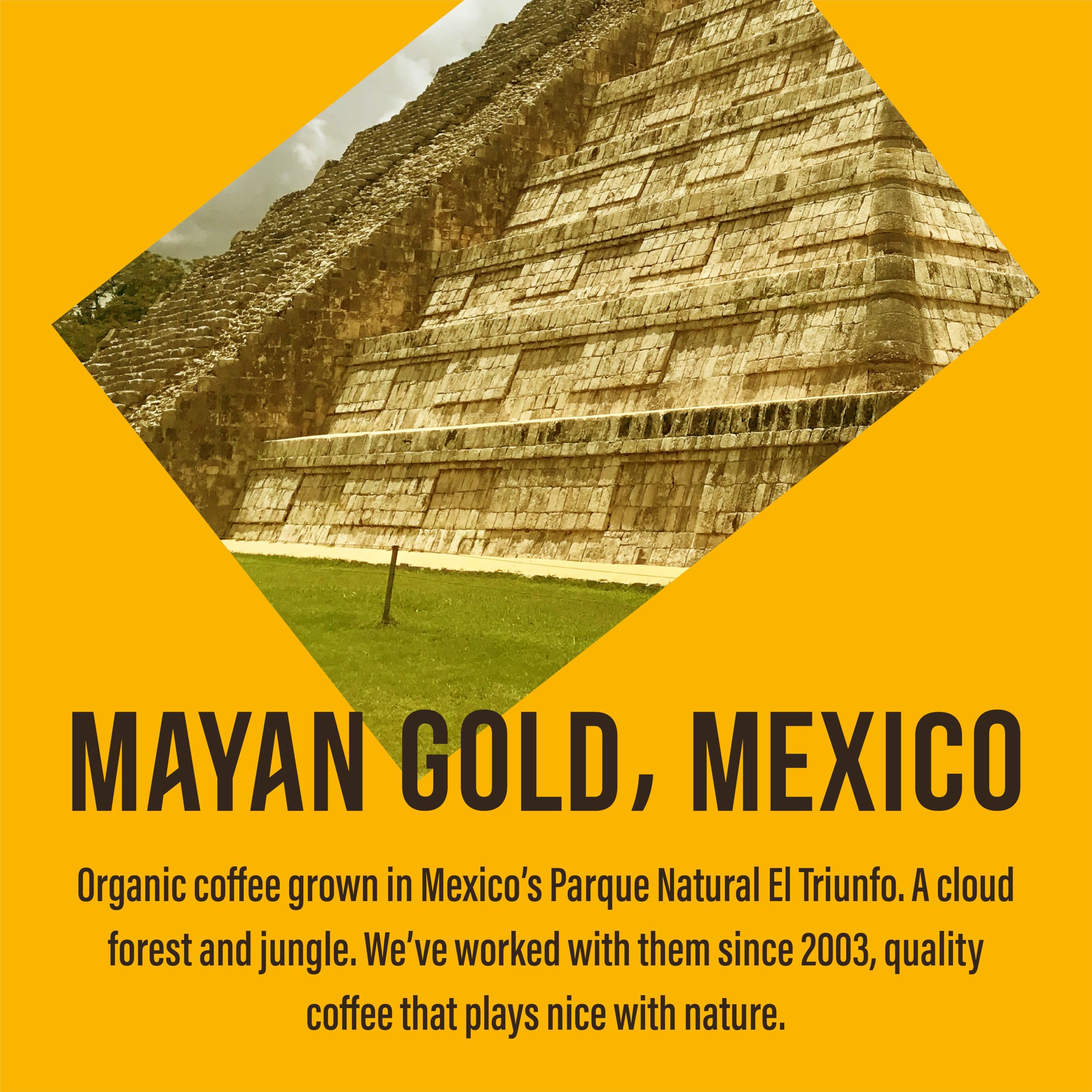 Café Direct Mayan Gold Mexico Organic Fairtrade Whole Bean Coffee 200g 7