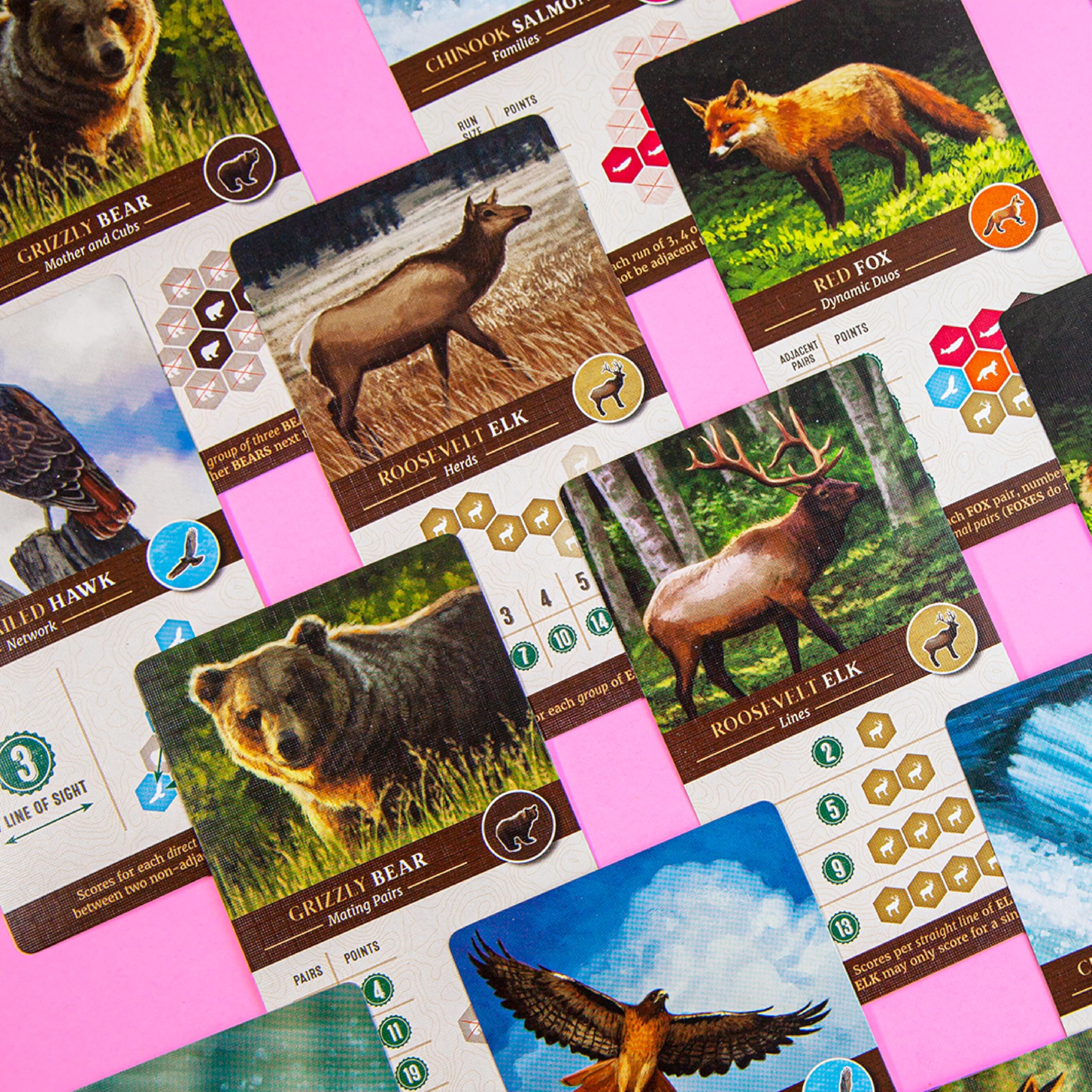 Alderac Entertainment Group Cascadia Board Game (AEG7098) 12