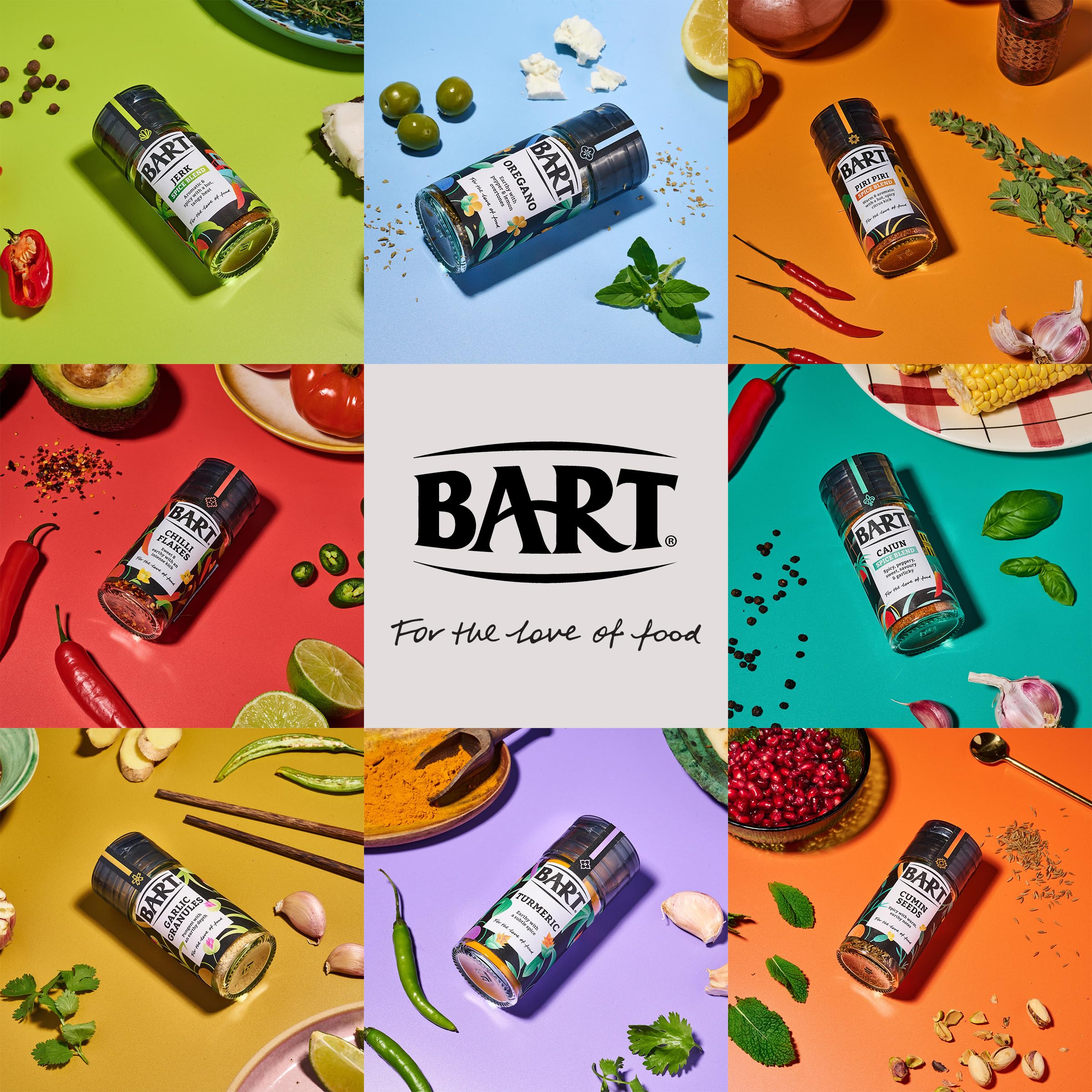 BART Fajita Spice Blend Powder - Hot & Spicy Latin American Flavour | 250g Large Pack 6