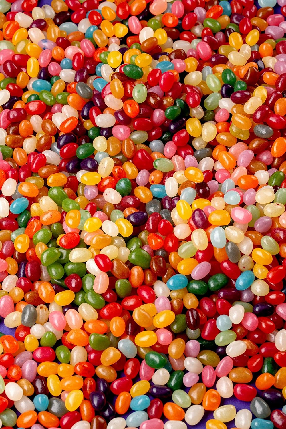 The Jelly Bean Factory Huge Flavours, 1.4kg Gourmet Jelly Beans Jar 15