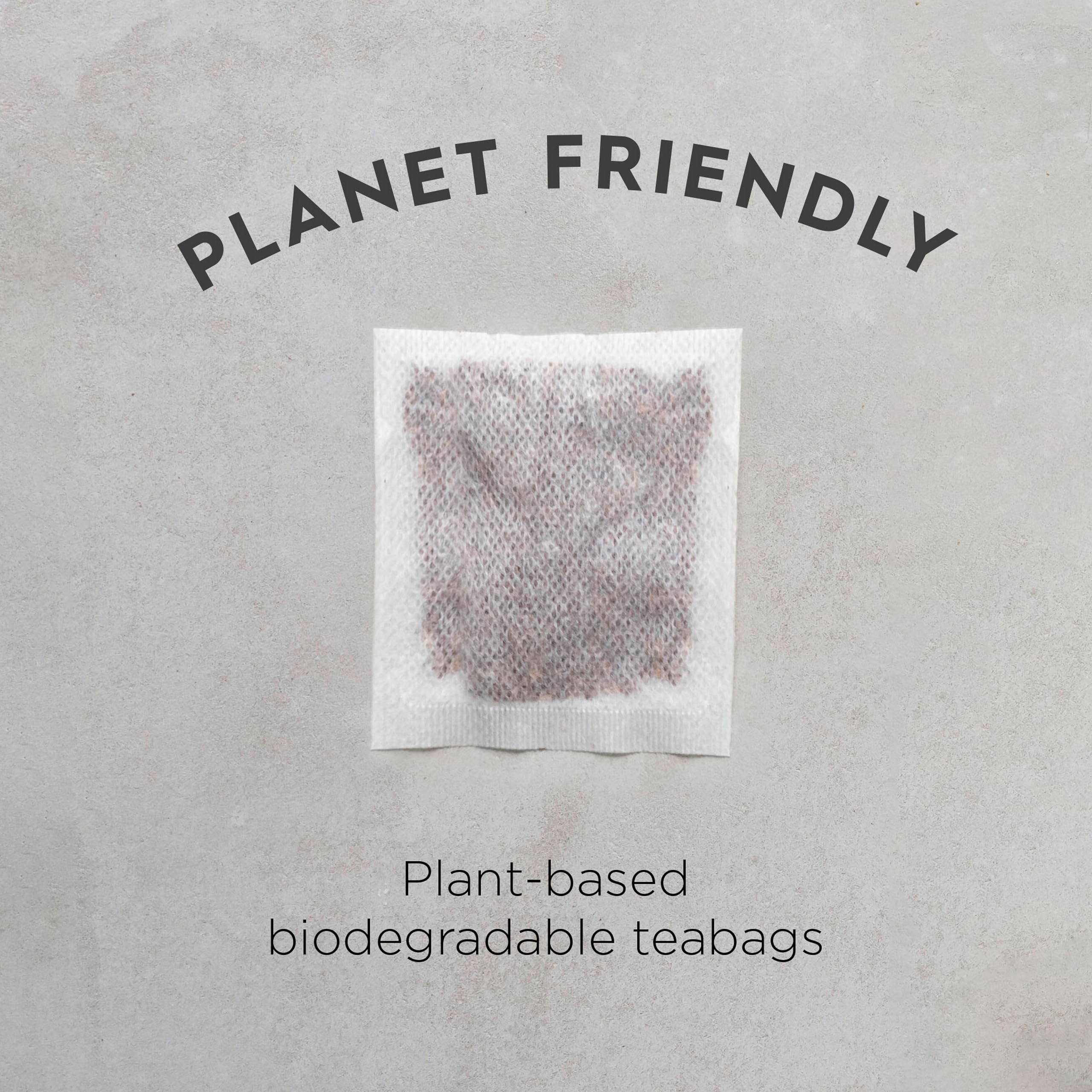 Dragonfly Organic Rooibos Tea | Pack of 4 x 40 Biodegradable Tea Bags (160 Total) | Caffeine-Free South African Red Bush Tea 6