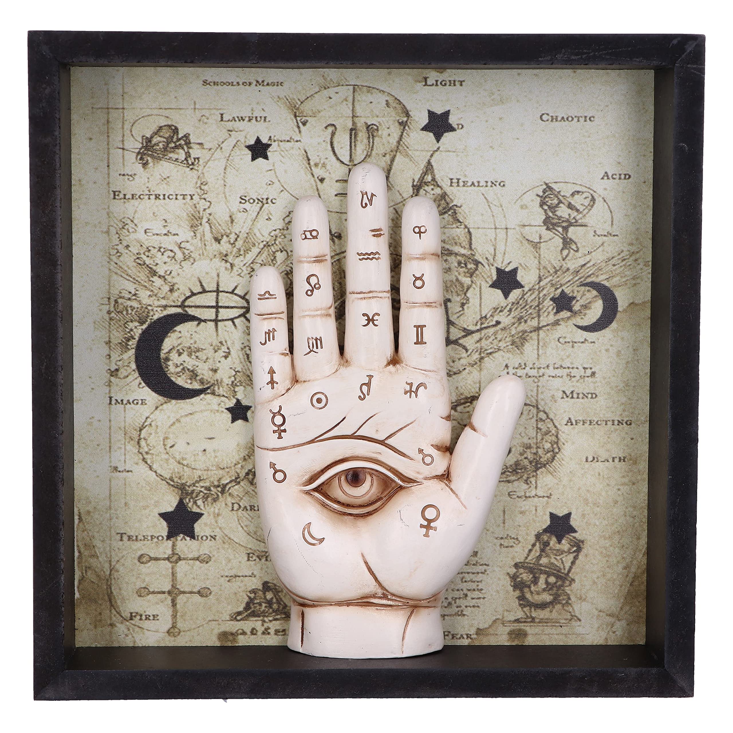 Nemesis Now - Palmistry Companion Framed Chiromancy Wall Art 8