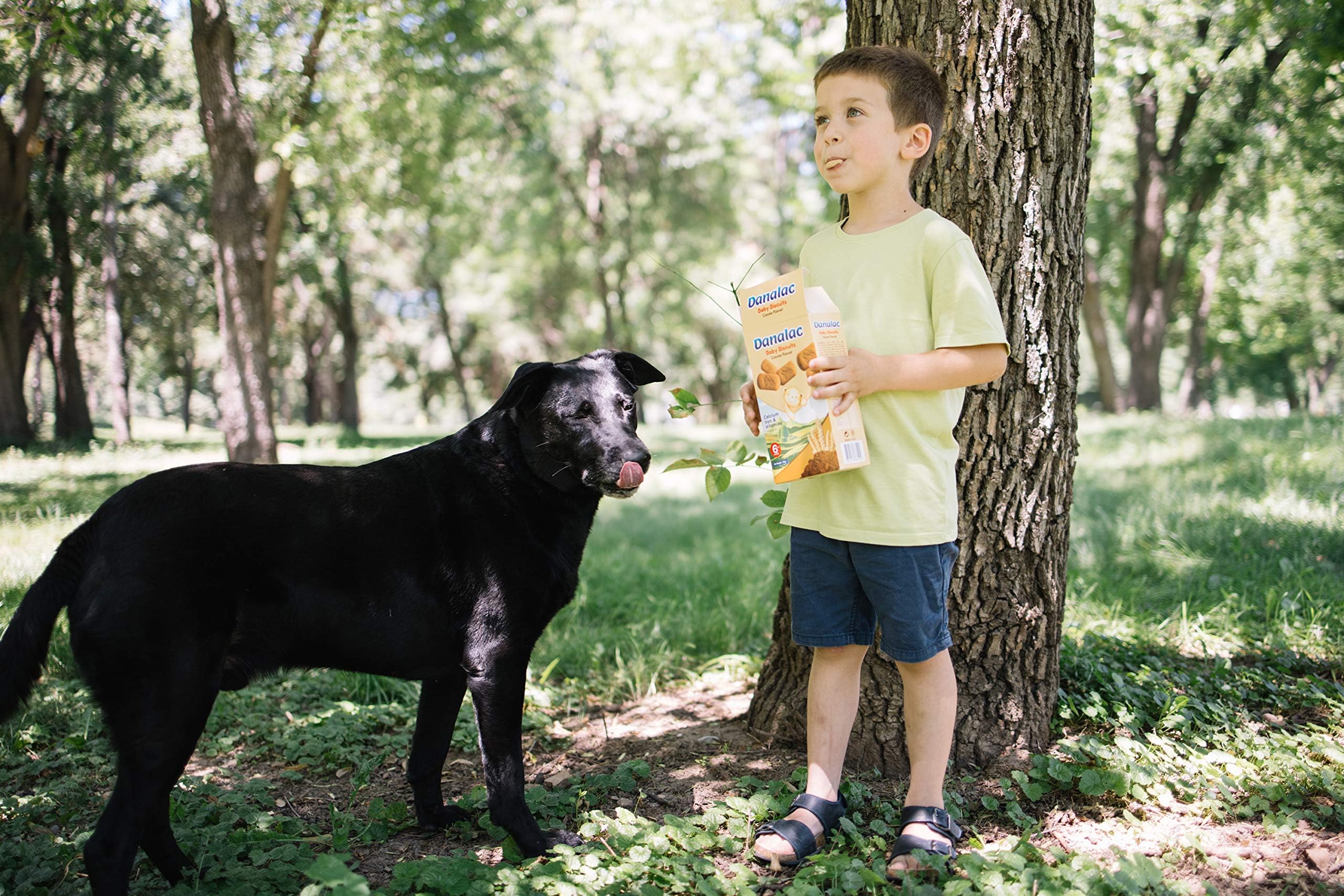 Danalac Cocoa Baby Biscuits 120g - Finger Food Snack for Toddlers 6+ Months 7