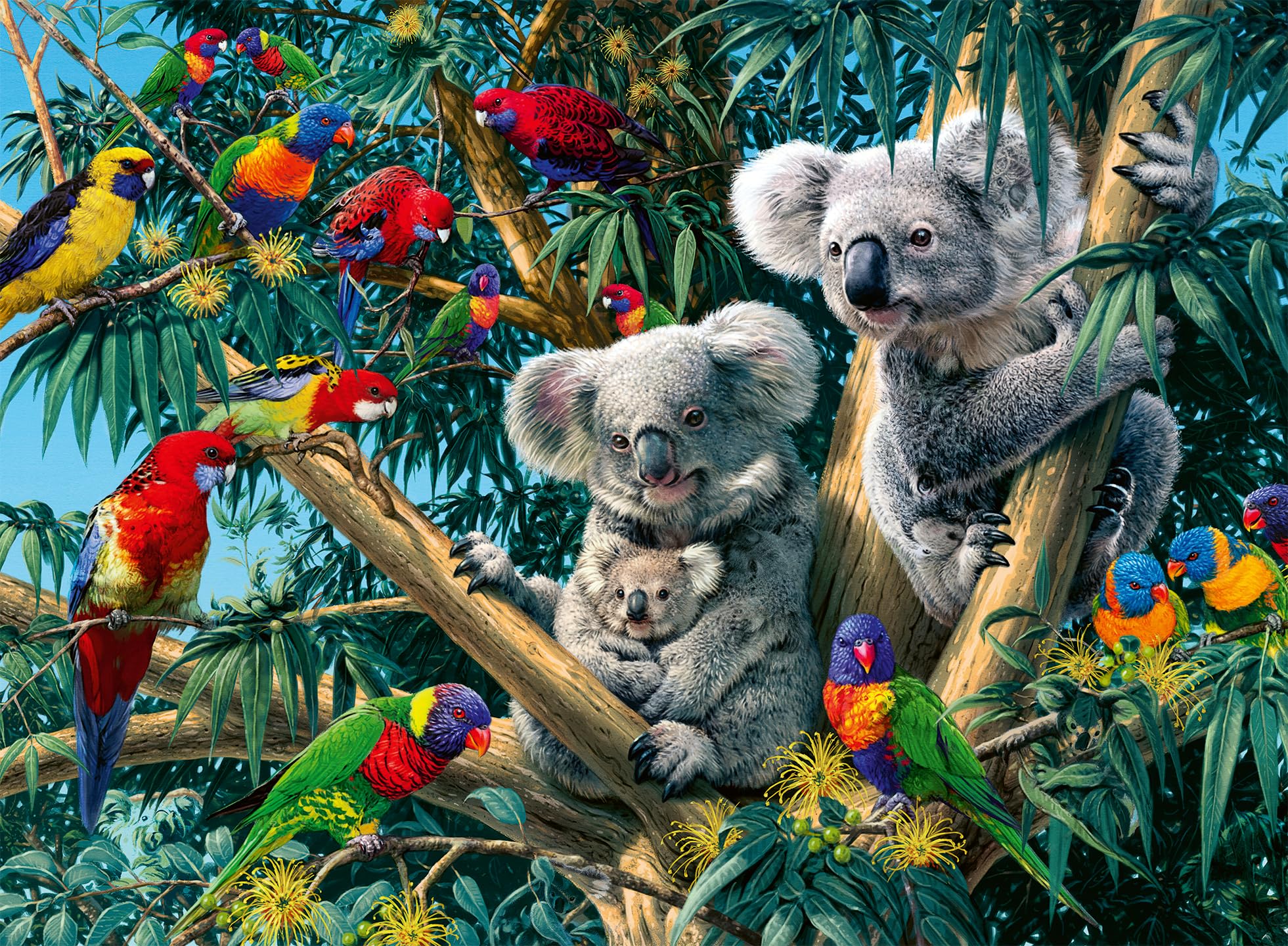 Ravensburger Koalas in a Tree 500-Piece Jigsaw Puzzle for Adults & Kids