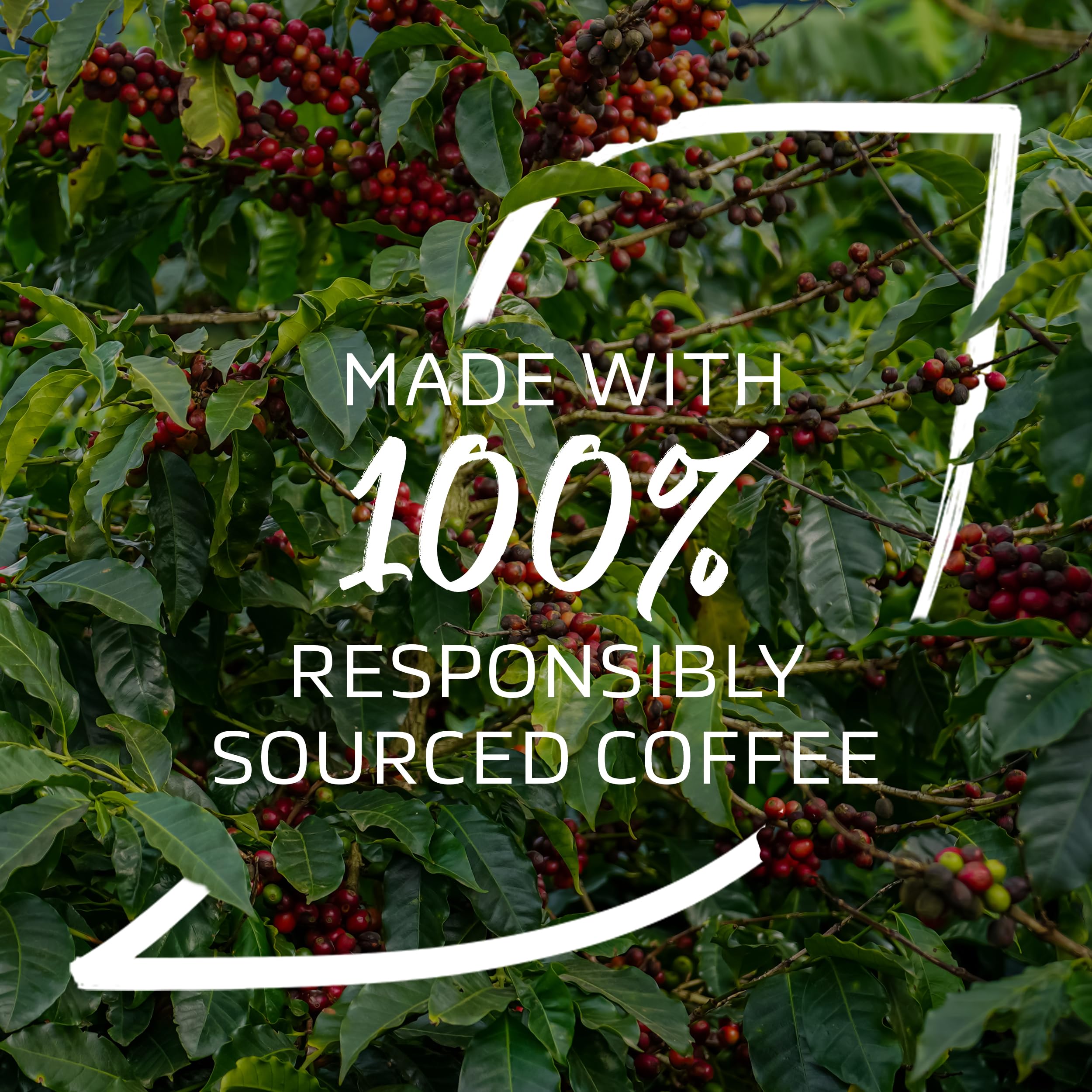 NESCAFÉ Latte Instant Coffee Sachets - 72 x 18g 8