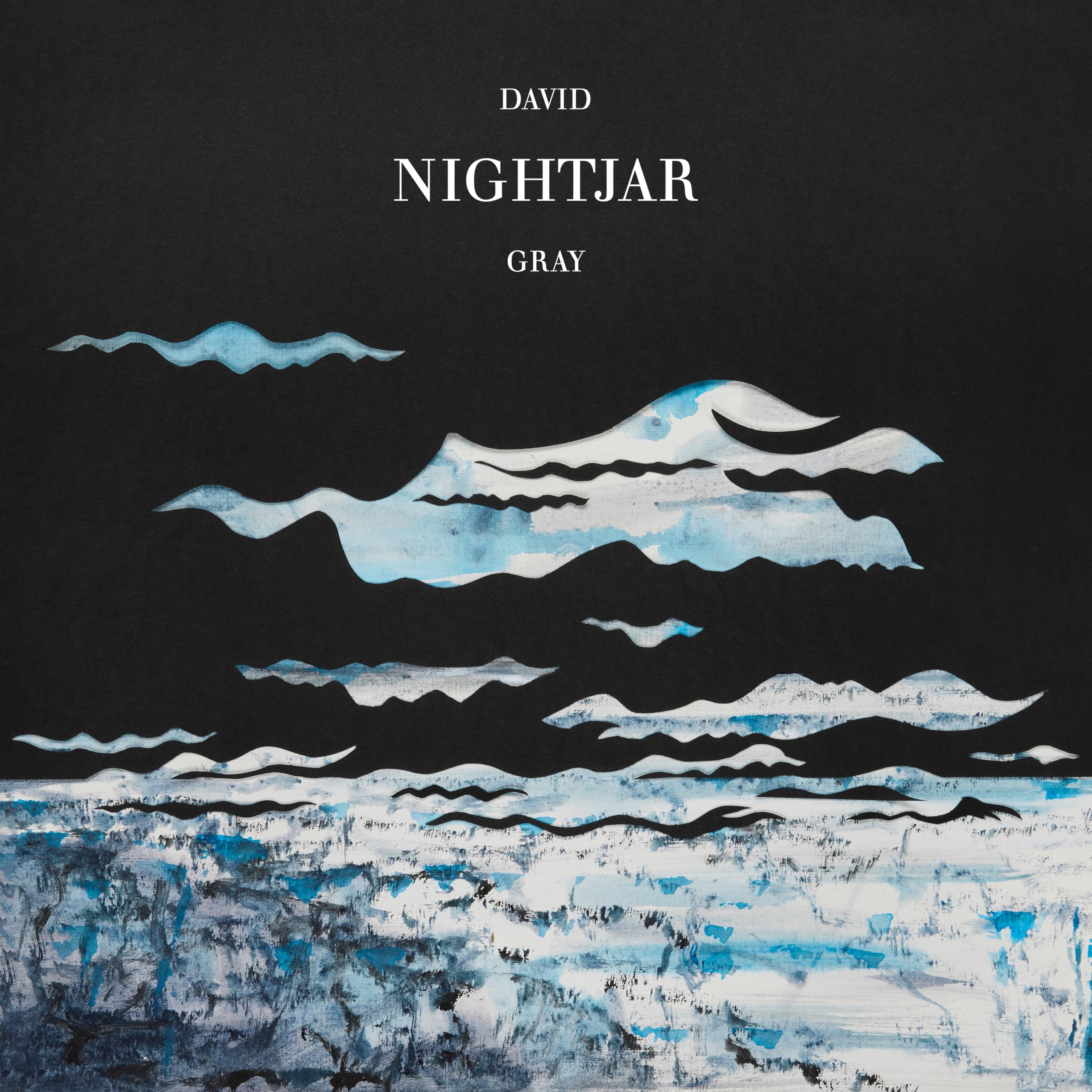 David Gray - Nightjar [2LP Vinyl]