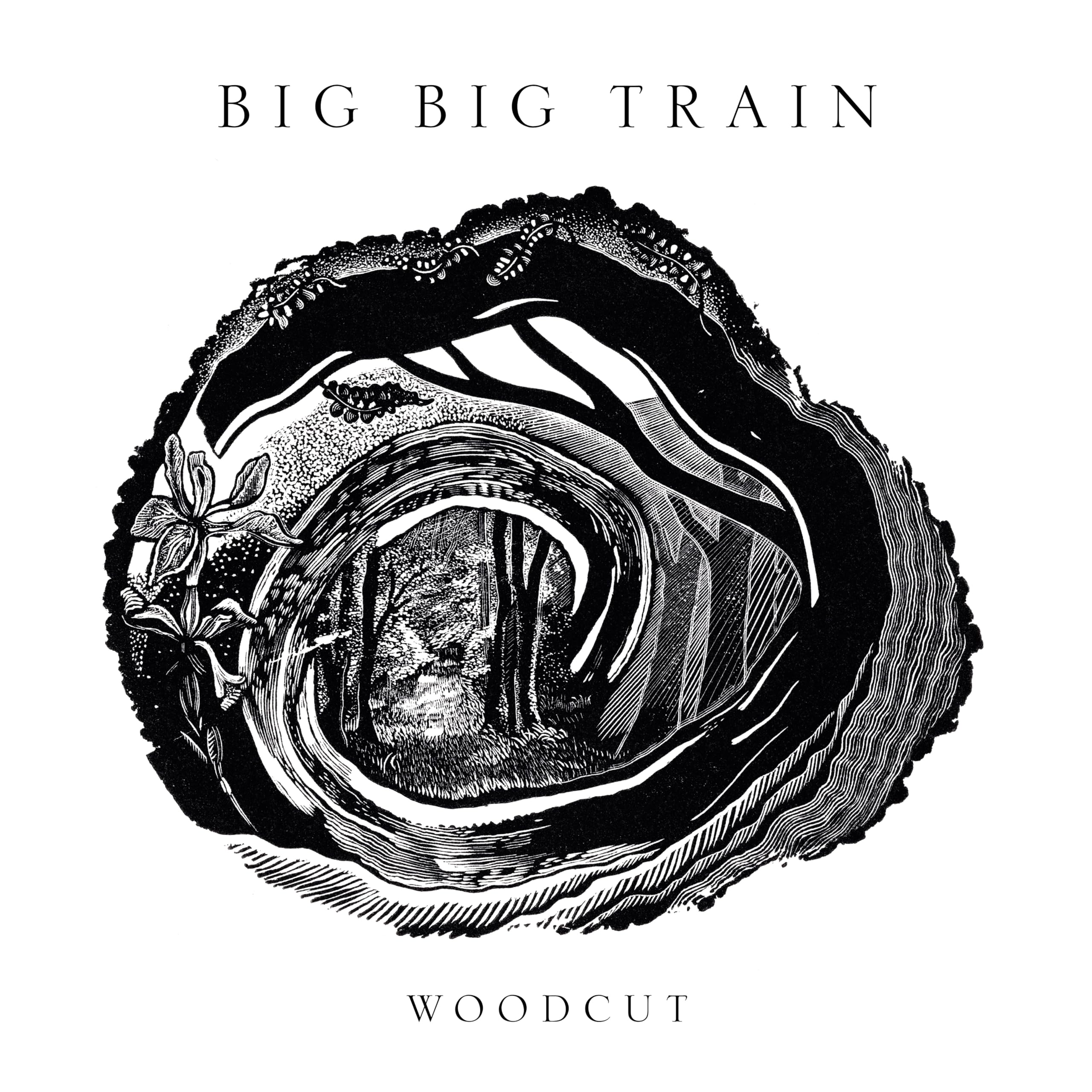 Big Big Train - Woodcut [Audio CD] 1