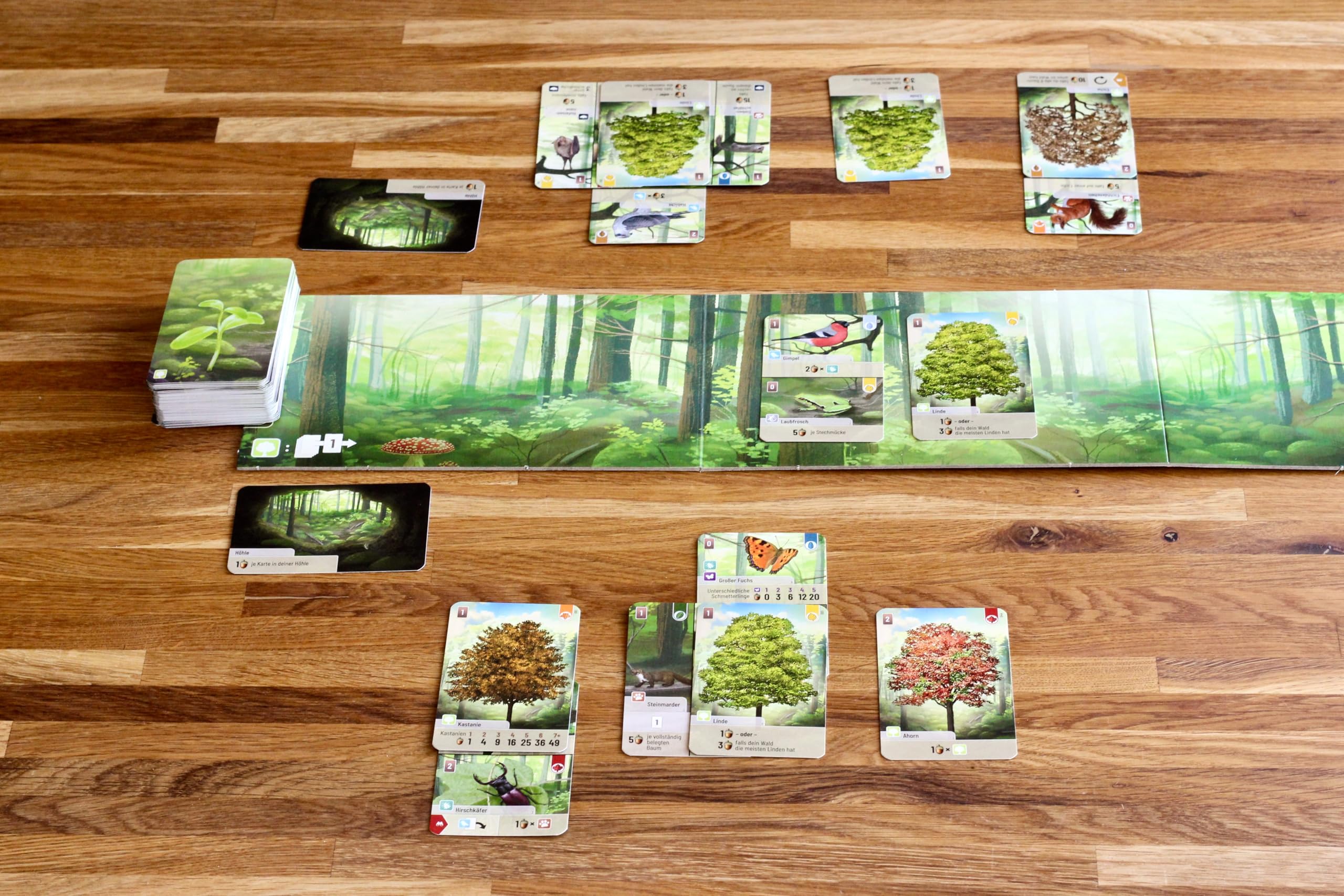 Lookout Games Forest Shuffle Card Game 5