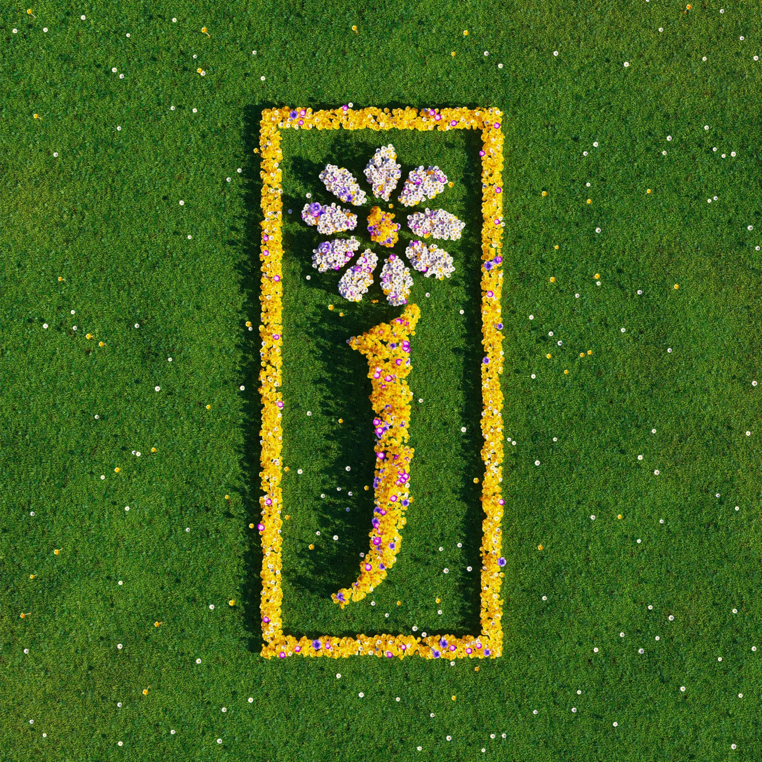 James - Nothing But Love – The Definitive Best Of [VINYL] 4