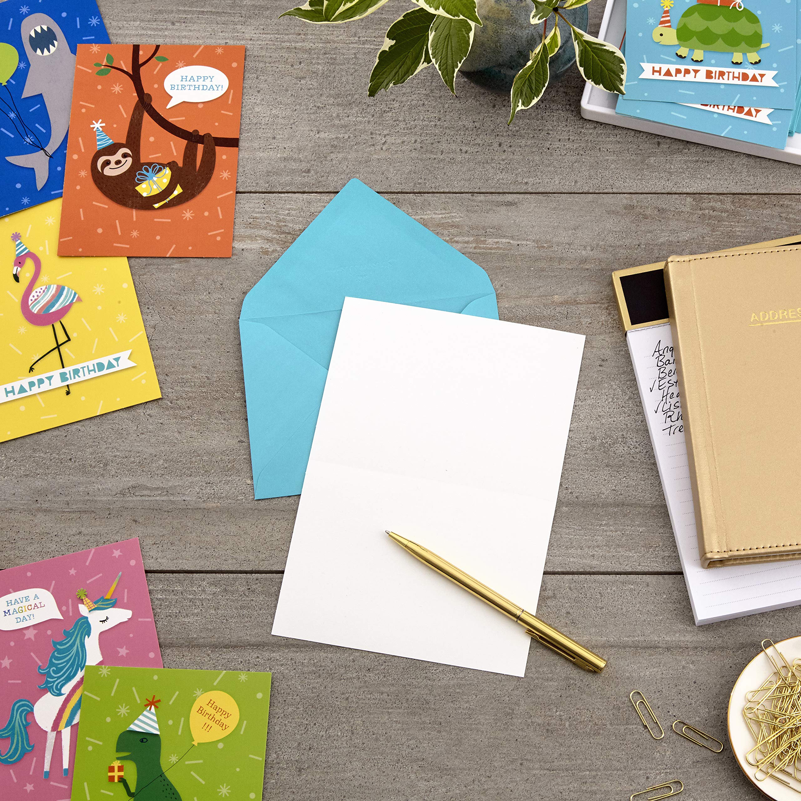 Hallmark Kids Birthday Cards Assortment - 48 Cards, 6 Designs, Blank Inside | 3.75" x 5.2"