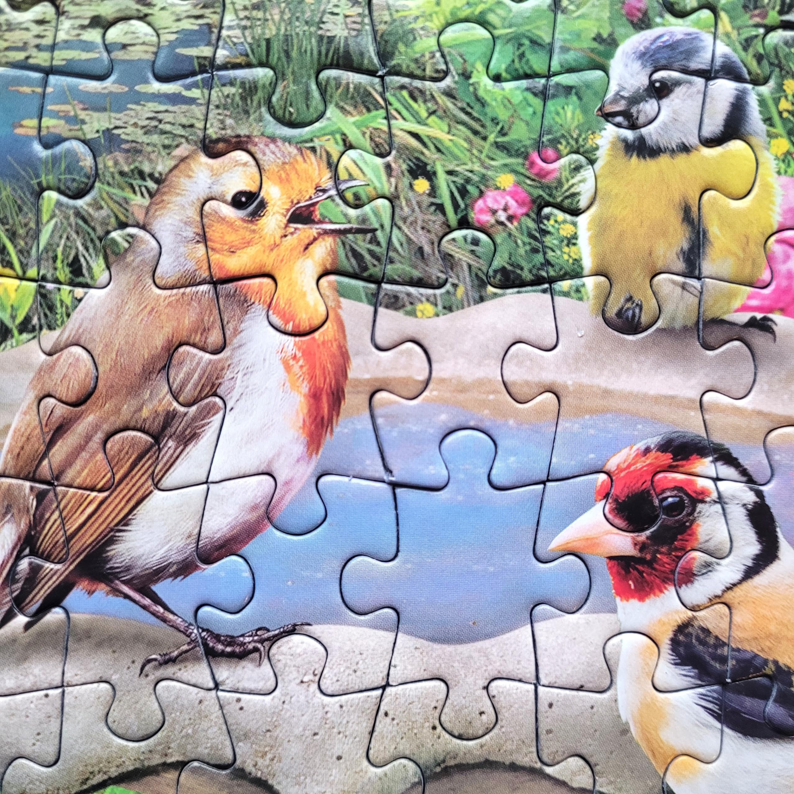 Gibsons Birdsong by the Stream Jigsaw Puzzle - 1000 Pieces | Premium Recycled Board | Nature Theme 5