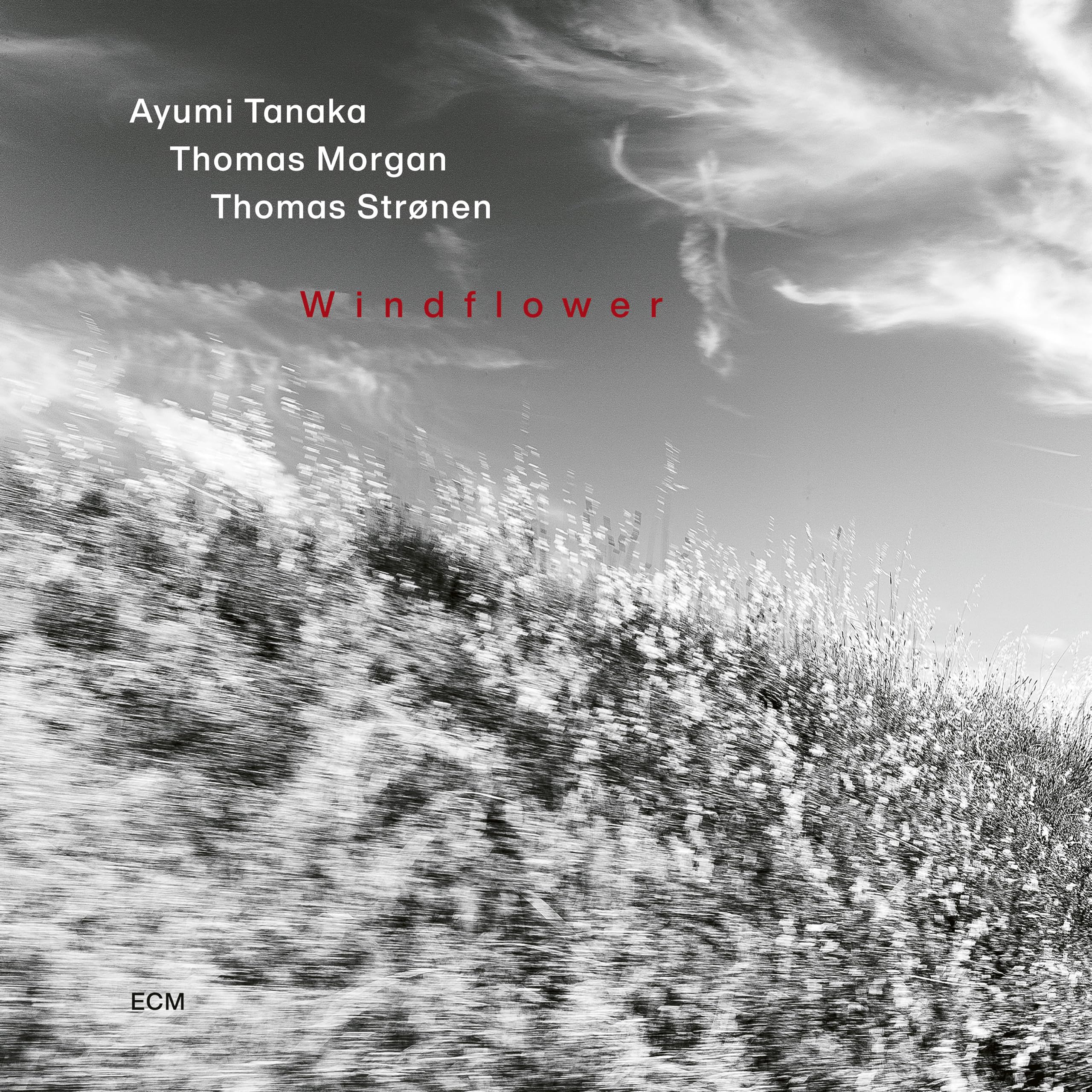 Ayumi Tanaka - Windflower [CD]