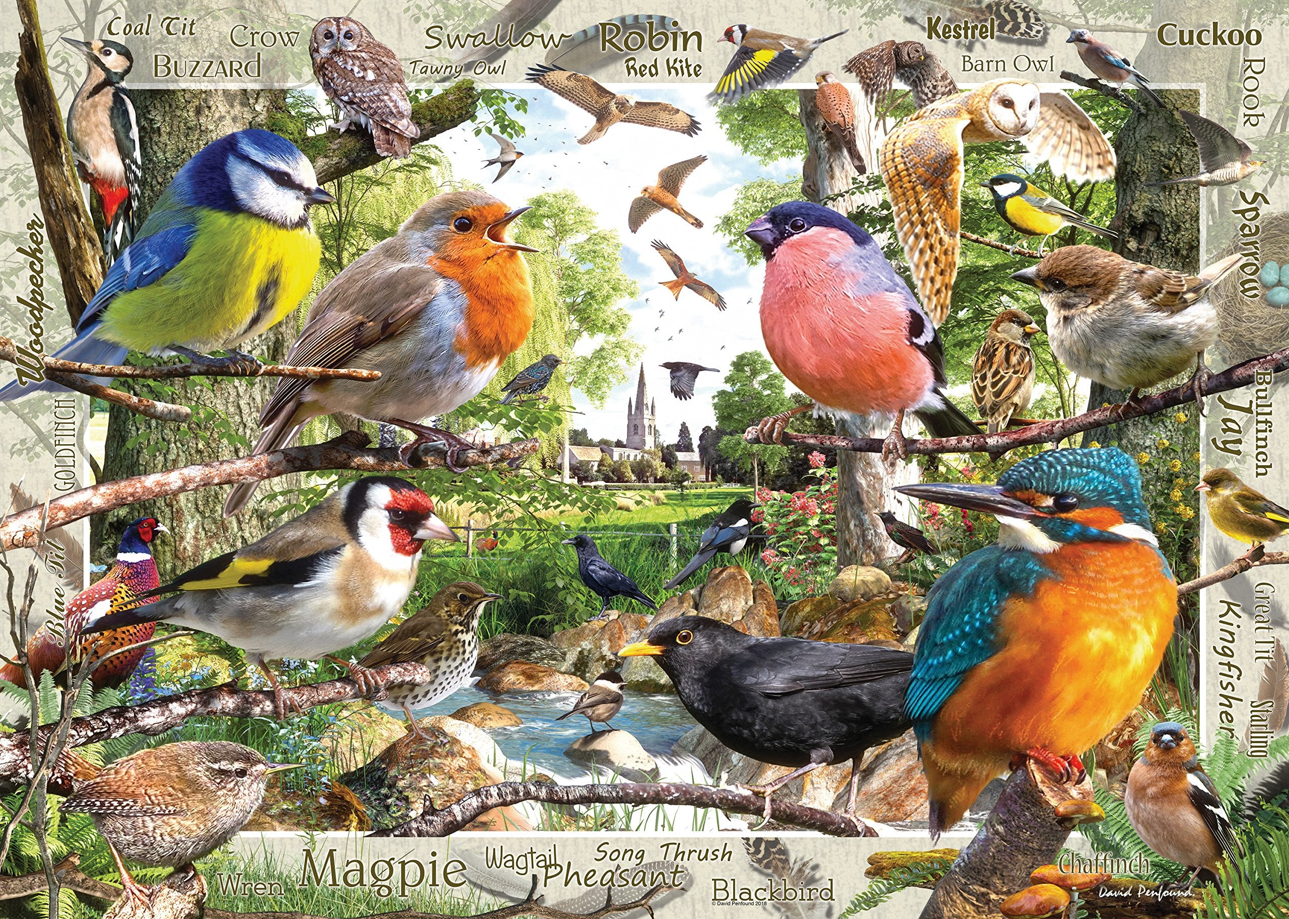 Ravensburger Our Feathered Friends 1000 Piece Jigsaw Puzzle for Adults