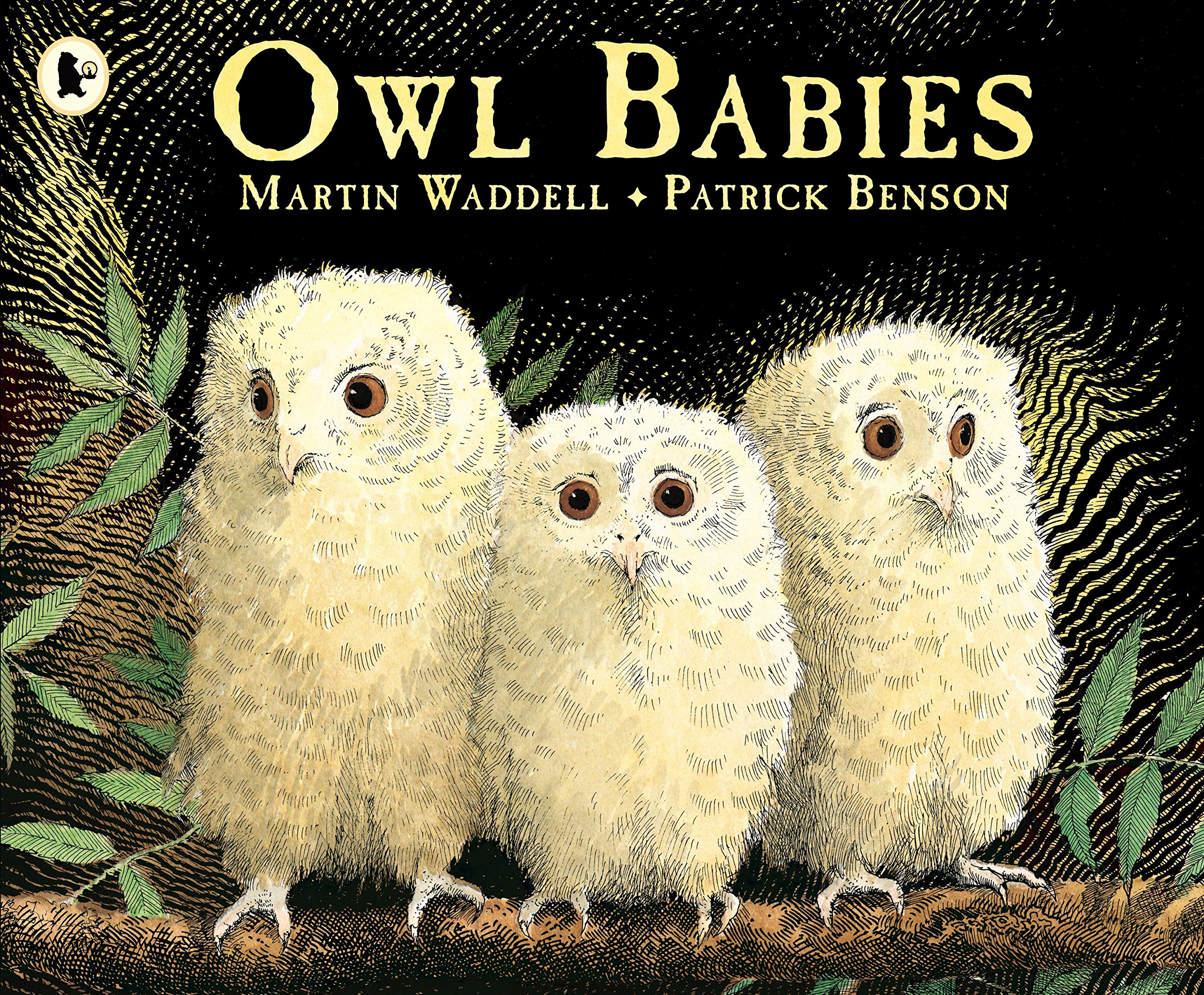 Penguin Owl Babies - Children's Classic Picture Book | Paperback | Ages 2-4