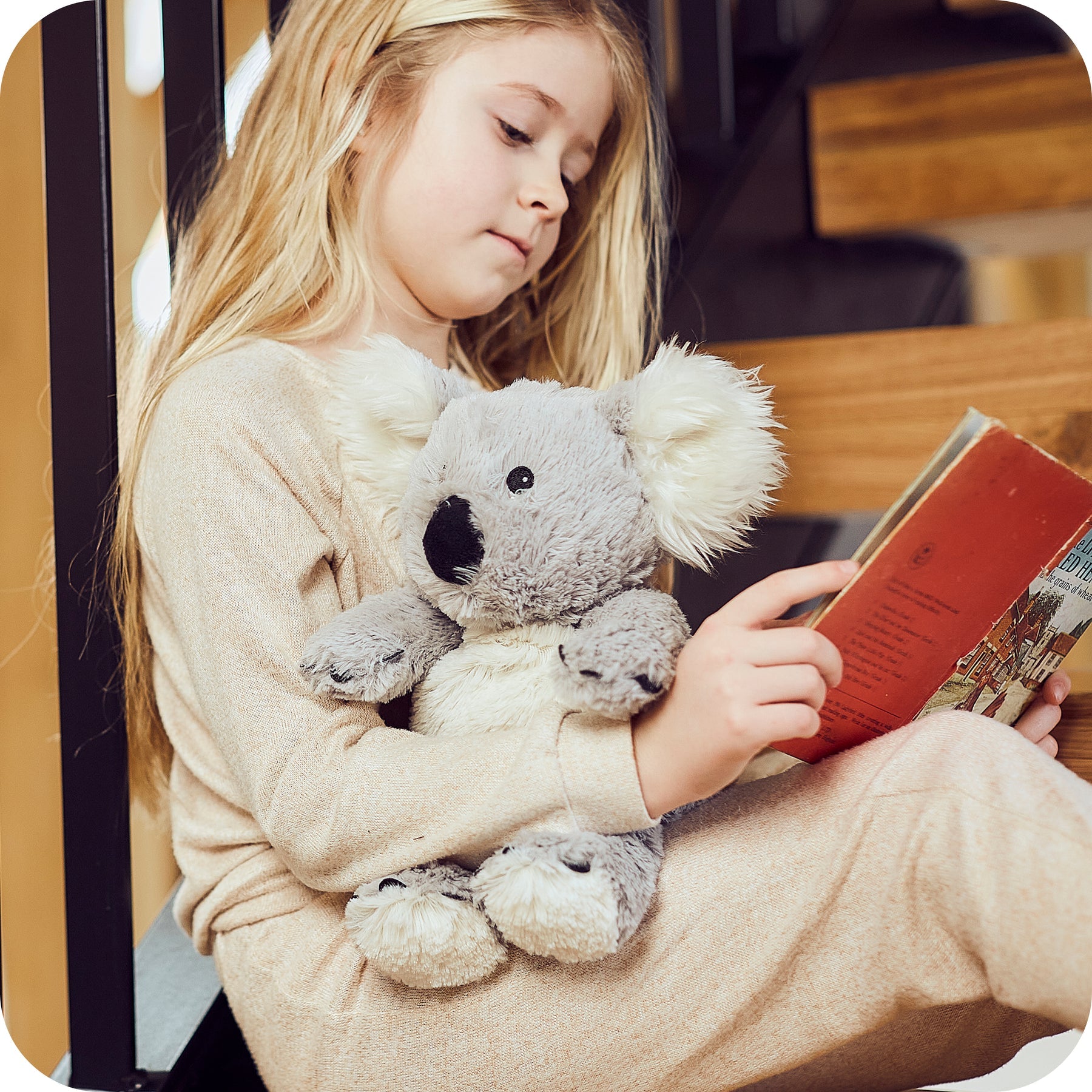 Warmies - 13" Koala Heatable Plush Toy Scented with French Lavender 9