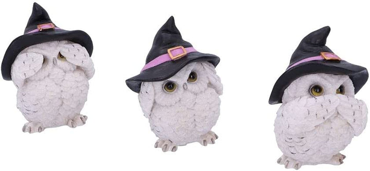 Nemesis Now Three Wise Feathered Familiars Eulenfigur, 9 cm, Weiß