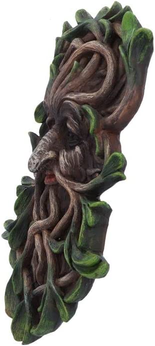 Nemesis Now Tawnya Tree Spirit Wandschild, Braun, 28,8 cm