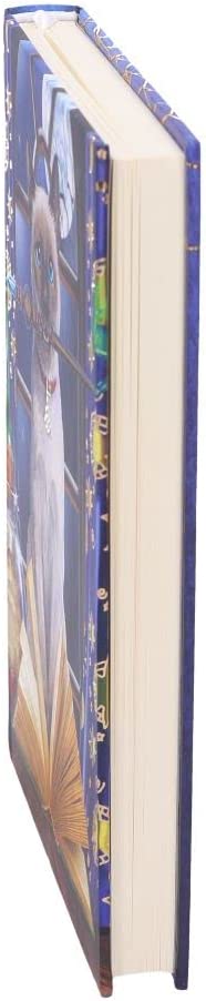 Nemesis Now Lisa Parker Hocus Pocus Tagebuch, mehrfarbig, 17 cm