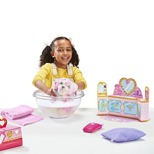 Little Live Pets 30146 Scruff-a-Luvs Cutie Cuts zum Rasieren, Enthüllen und Stylen, Plüsch R