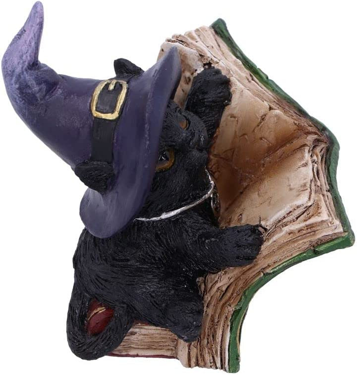 Nemesis Now Kitty's Grimoire (Grün) 8,2 cm