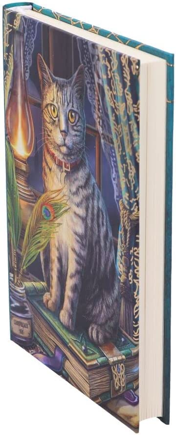 Nemesis Now Lisa Parker Book of Shadows Tagebuch, mehrfarbig, 17 cm