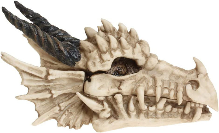 Nemesis Now AL50057 Drachenschädel-Box, 15 cm, Elfenbeinfarben
