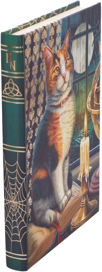 Nemesis Now Lisa Parker Adventure Awaits Tagebuch, mehrfarbig, 17 cm