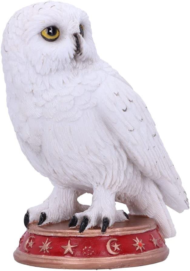 Nemesis Now Wizard's Familiar Eulenfigur, weiß, 10 cm