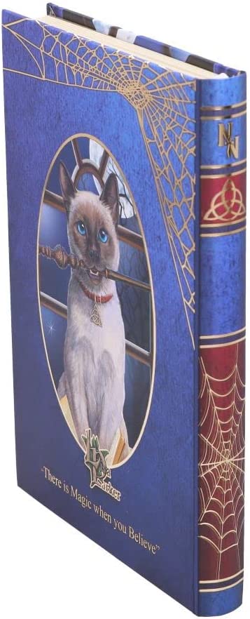 Nemesis Now Lisa Parker Hocus Pocus Tagebuch, mehrfarbig, 17 cm