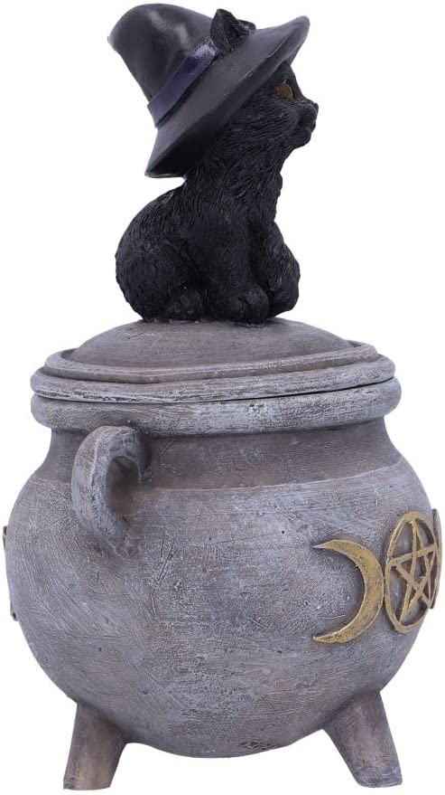 Nemesis Now Kitty's Brew 14 cm, Grau