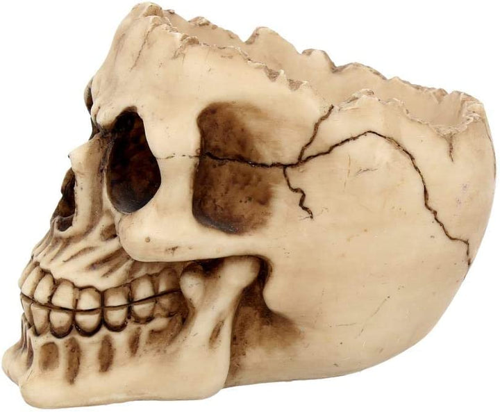 Nemesis Now Lobo Aschenbecher 13,5 cm Elfenbein