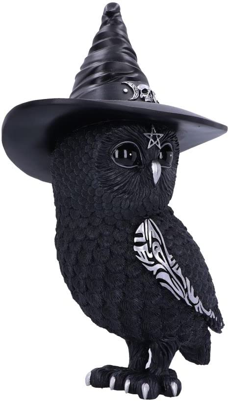 Nemesis Now Owlocen, Schwarz, 30 cm (groß)