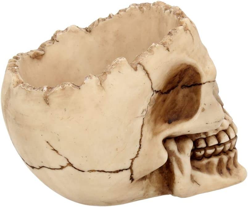 Nemesis Now Lobo Aschenbecher 13,5 cm Elfenbein