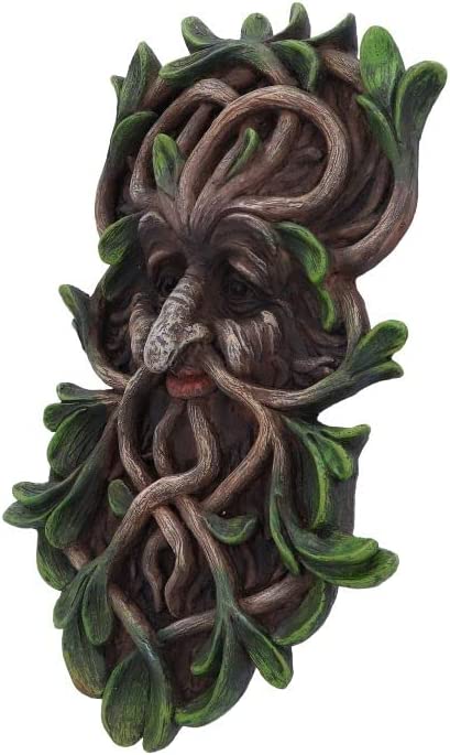 Nemesis Now Tawnya Tree Spirit Wandschild, Braun, 28,8 cm