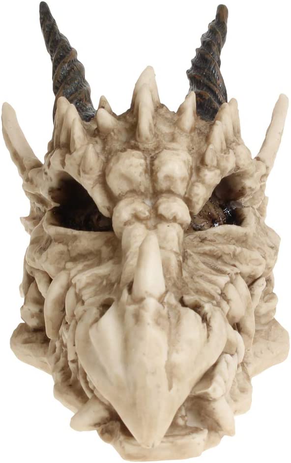 Nemesis Now AL50057 Drachenschädel-Box, 15 cm, Elfenbeinfarben