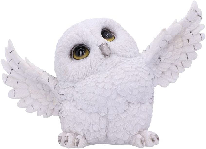 Nemesis Now Snowy Delight Eulenfigur, 20,5 cm, Weiß