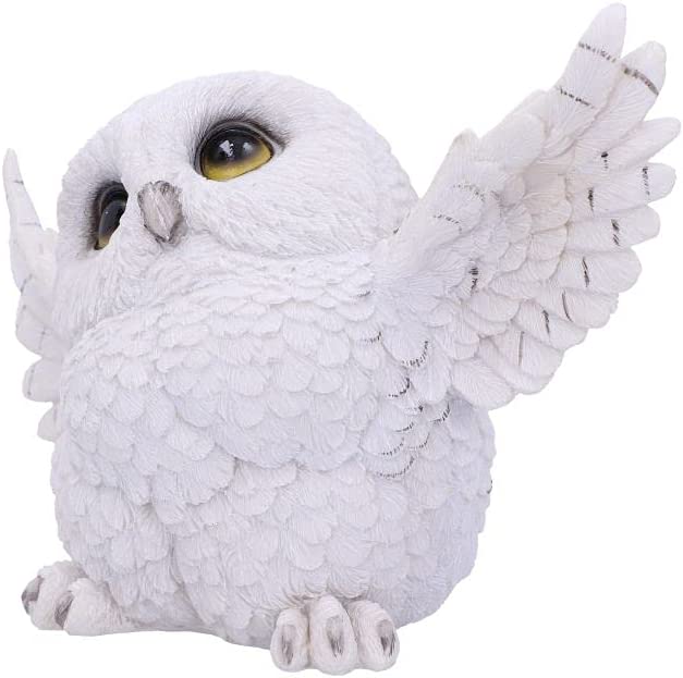 Nemesis Now Snowy Delight Eulenfigur, 20,5 cm, Weiß