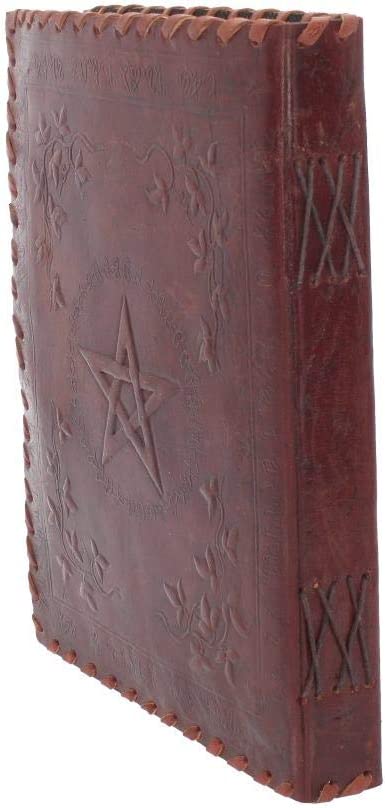 Nemesis Now Kleines Book of Shadow-Tagebuch aus Leder mit Schloss, 27 cm, Braun