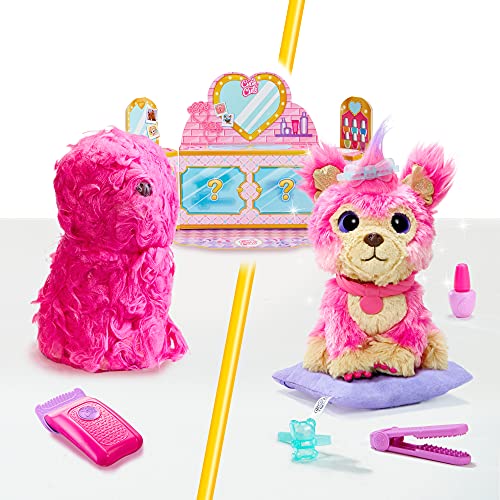 Little Live Pets 30146 Scruff-a-Luvs Cutie Cuts zum Rasieren, Enthüllen und Stylen, Plüsch R