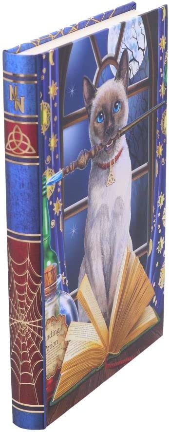 Nemesis Now Lisa Parker Hocus Pocus Tagebuch, mehrfarbig, 17 cm