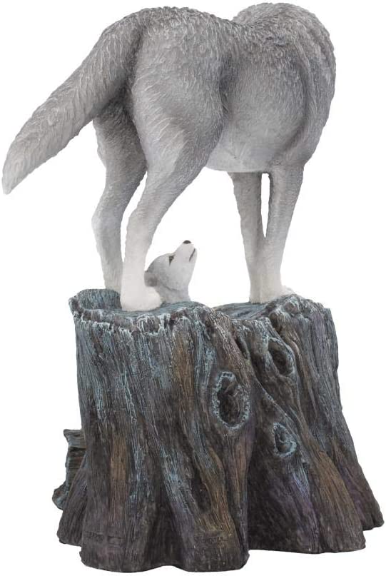 Nemesis Now B4334M8 Guidance 25 cm Lisa Parker Figur, Kunstharz, Grau