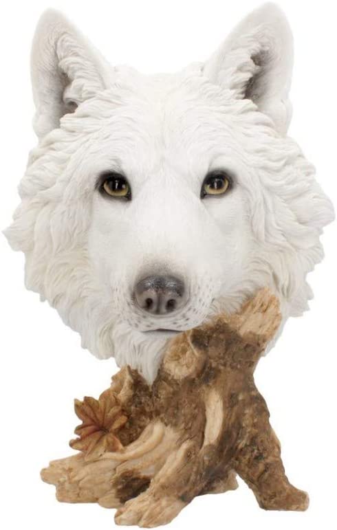 Nemesis Now Wild Winter 27,5 cm Figur weiß, Kunstharz, Einheitsgröße