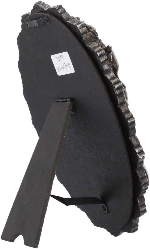 Nemesis Now Wunderschönes Wandschild, 22 cm, Grau, Polyresin