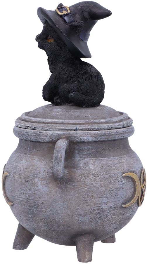 Nemesis Now Kitty's Brew 14 cm, Grau