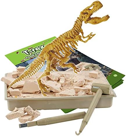 Science4you T-Rex-Fossilien-Jagdset für Kinder – Graben Sie die 10 Stück aus und bauen Sie sie zusammen